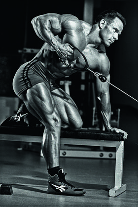Bodybuilding styrketräning muskelminne